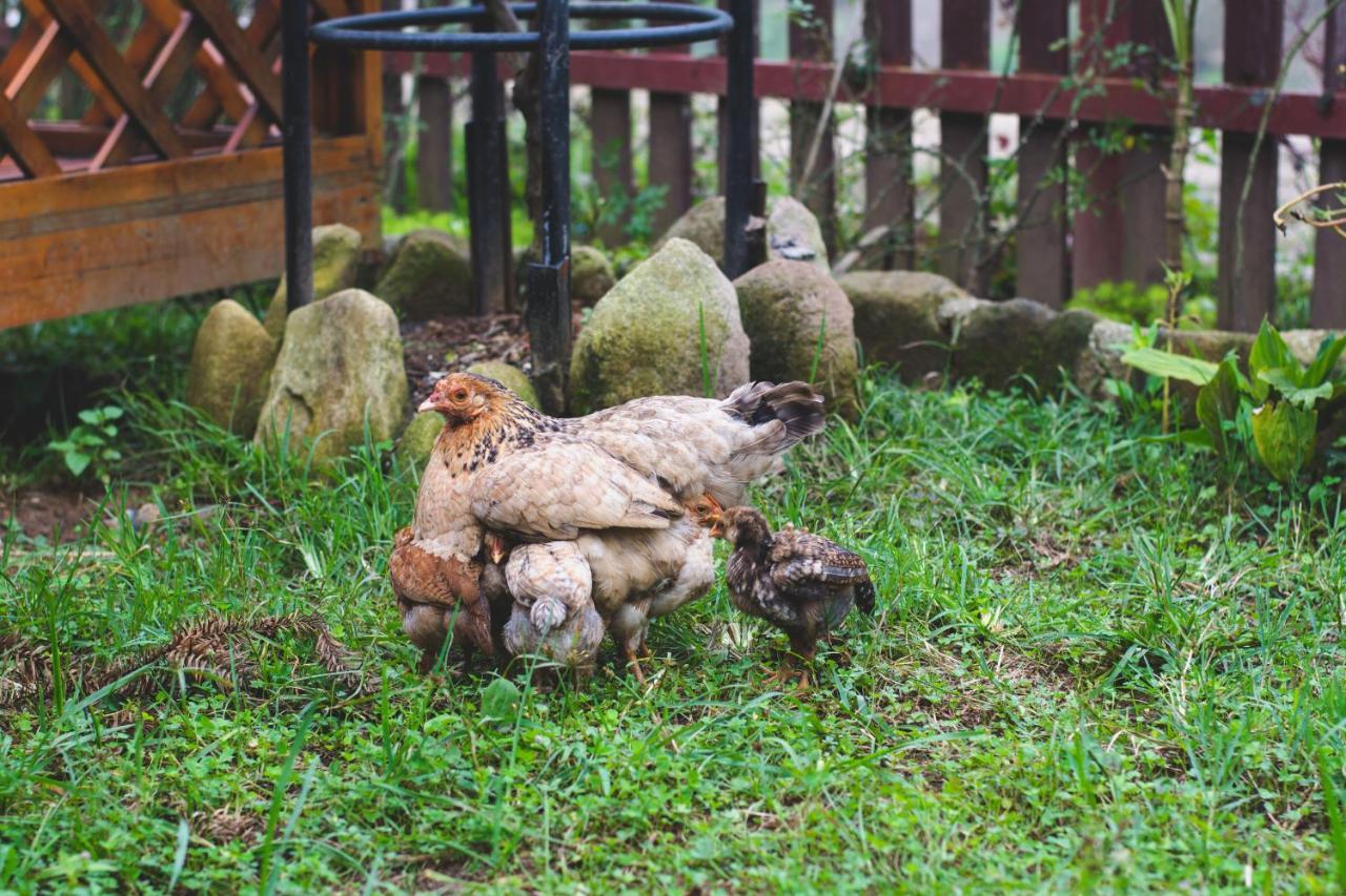 Homestay So 91-Suoi Ho Sa Pa Buitenkant foto