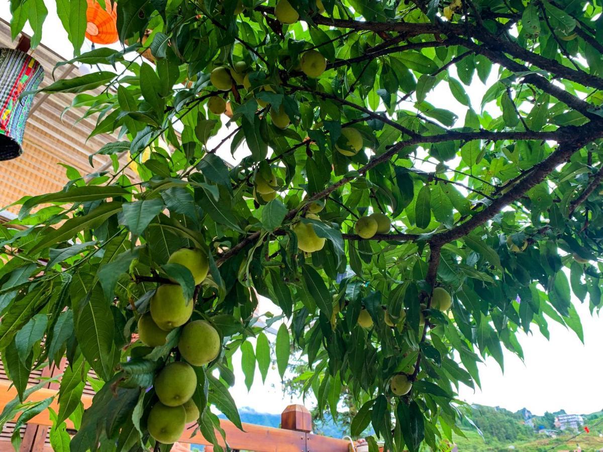 Homestay So 91-Suoi Ho Sa Pa Buitenkant foto