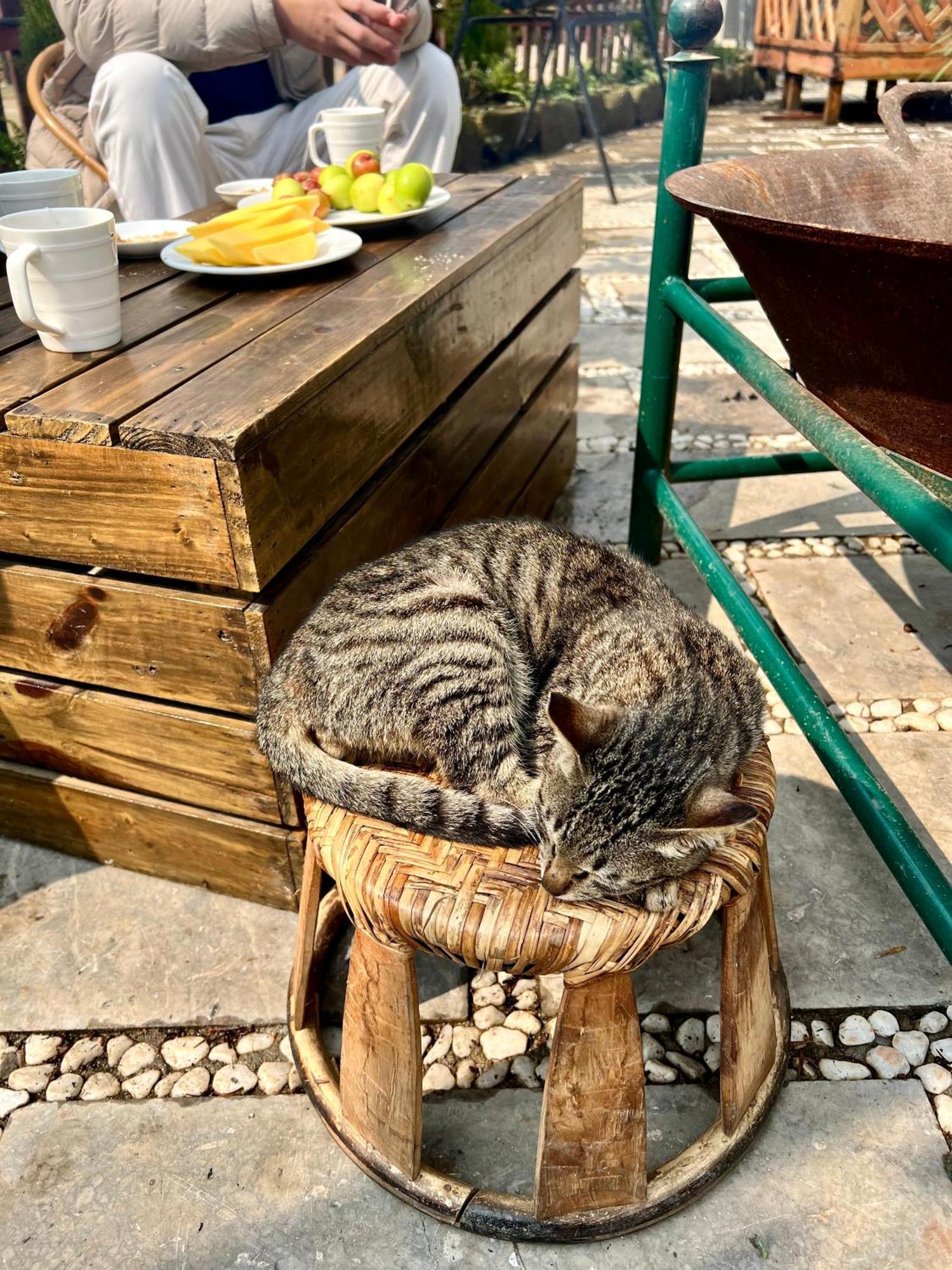 Homestay So 91-Suoi Ho Sa Pa Buitenkant foto